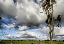 CBA:豪取8连胜 北京北汽队127-92大胜宁波町渥队.