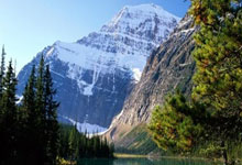 问鼎娱乐:橄榄球赛让世界感受香港的魅力2025-04-01.