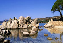 问鼎娱乐:斯诺克世界公开赛:希金斯击败奥康纳夺冠.